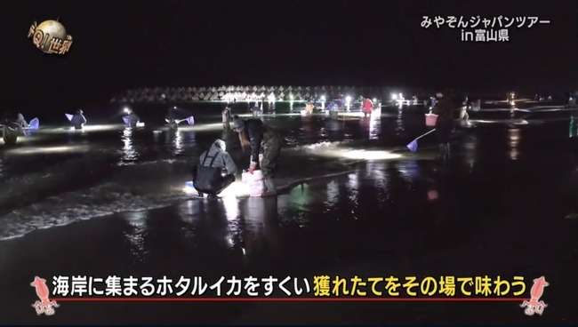 【北日本新聞】日テレ「イッテQ」がホタルイカを生食すると誤認させるテロップ　漁師ら「絶対やめて」