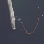 ロシア軍、イルカを軍事利用か　要衝セバストポリ港で艦船守る