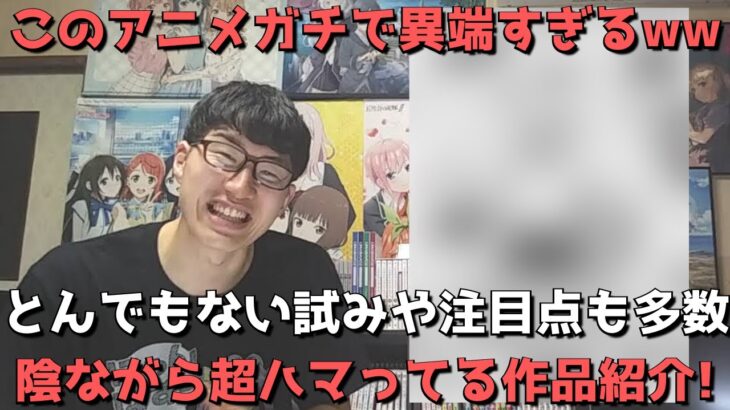 【このヒーラー、めんどくさい】１１話『ミミックさん、流石に不憫すぎる…』感想まとめ