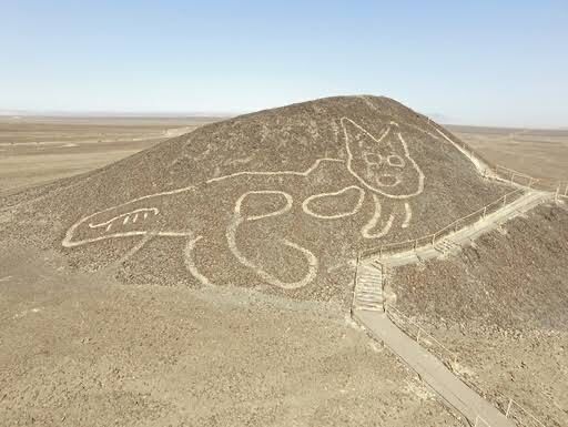 【画像】ペルーにあるネコの地上絵、すごすぎるｗｗｗｗｗｗｗｗｗｗｗｗｗｗｗｗｗｗｗｗｗｗ