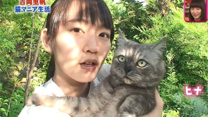 バックナンバー『吉岡里帆』猫の気持ちがよくわかる！