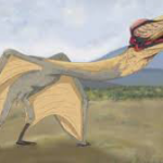 【古生物学】空飛ぶ「死のドラゴン」、巨大翼竜の化石発見　南米で最大