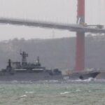 【動物】黒海でイルカが大量死　ロシア軍艦の低周波原因か