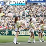 阪神４位でも「甲子園完売」のワケ　球団別入場者数で巨人に大差をつける独走状態