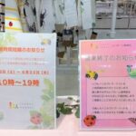 香川照之の“昆虫愛”詰まったアパレル店が閉店、女性は「虫が苦手」