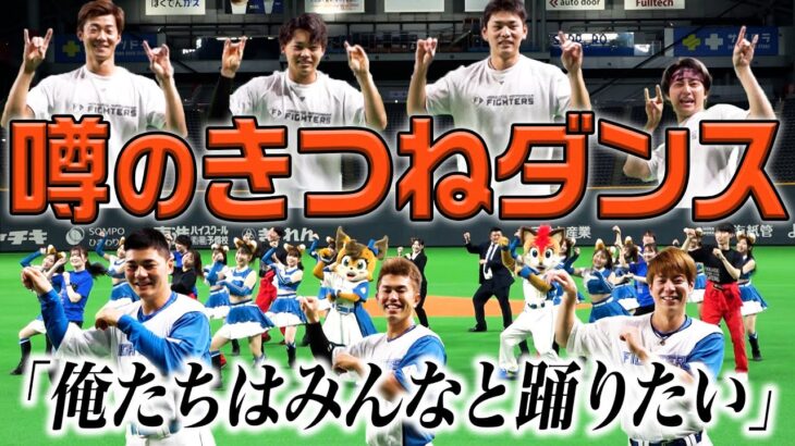 「きつねダンス」がJリーグにやってくる!　C大阪の試合にファイターズガールが登場!!