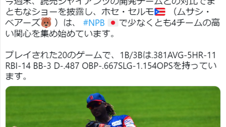 【新外国人】BCリーグ武蔵ホセ・セルモにNPB4球団が興味　昨年米独立でウォーカーより活躍