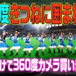 【動画】Ｆガールズに囲まれ「ここは天国か」 日ハム・360度きつねダンス