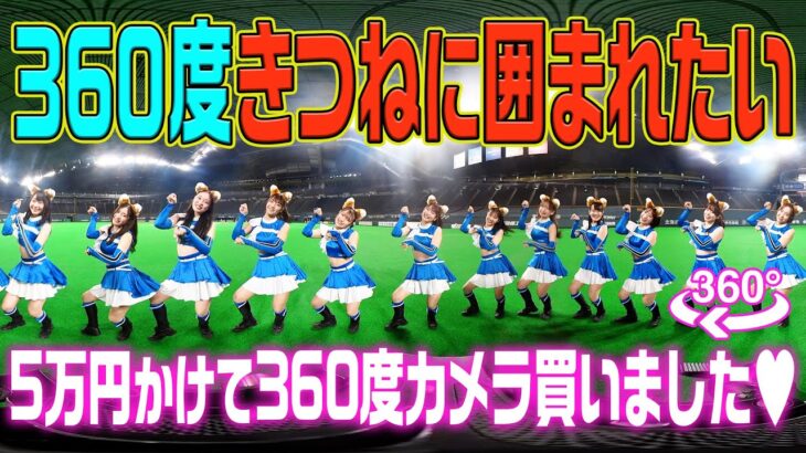 【動画】Ｆガールズに囲まれ「ここは天国か」 日ハム・360度きつねダンス