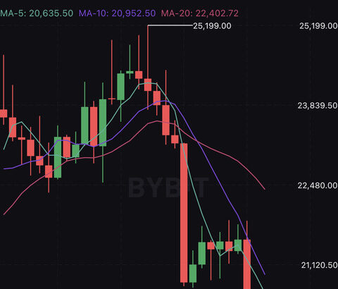 【悲報】ビットコインひっそりと逝く