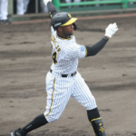 【阪神】ロハスが今季2度目の登録抹消　打率・196、4本塁打と低迷
