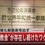 【自民】平和議連・奥野会長代行「平和連合は文鮮明氏と関係ない」「山上容疑者の“家庭”がしっかりしていれば」 [クロ★]