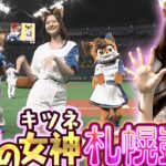 乃木坂46のきつねダンス動画バズる！！