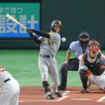 【阪神】中野、３安打＆２四球で５出塁　ＤｅＮＡ・佐野に次ぐセ２位１２４安打