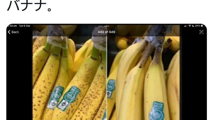 【必読】薬品漬けになったバナナを見分ける方法が暴かれてしまう！