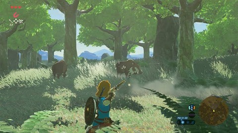 ゼルダの伝説、もうブレワイ路線で行くしかない…