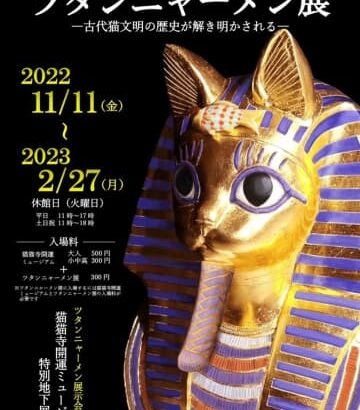 「この度、古代猫文明の存在が明らかになりました」　謎に包まれすぎてる展覧会、京都で開催(🐱)