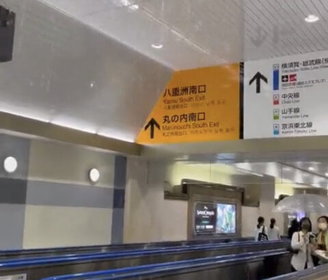 【動画】東京駅（の中）、どしゃ降りｗｗｗｗ