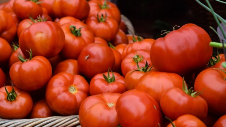 スペイン、3年ぶりに「トマト祭り」を開催してしまうｗｗｗｗｗｗｗｗｗ