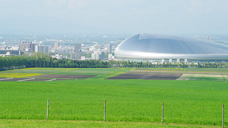 札幌ドーム付近でクマｗｗｗ新庄采配にお怒りかｗｗｗｗ