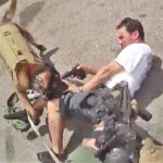 【米国】追い詰められた強盗犯、警察犬の頭に銃を向けた瞬間に射殺される