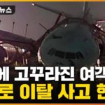 乗客からは悲鳴に泣き声…大韓航空機のオーバーラン事故、当時の状況は？＝韓国ネット「大韓航空の職員らに褒賞を与えるべきだ」