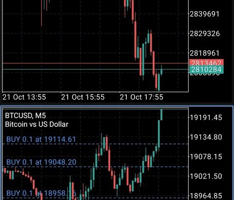 【悲報】ビットコイン、ドル円介入で円建て急落してしまうwwwwwwww【BTC】