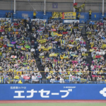 阪神ファンが客席でゴミ拾い「素晴らしい行為」