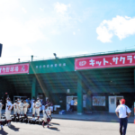 【朗報】石橋貴明さん、野球少年とリアル野球盤をやってしまう【野球大好きおじさん】