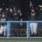 阪神タイガースWomenがベスト4進出　全日本女子硬式野球選手権
