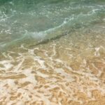 【沖縄】「外国人がおぼれている」人気の沖縄の海でまた水難　世界レベル大学院の学生死亡