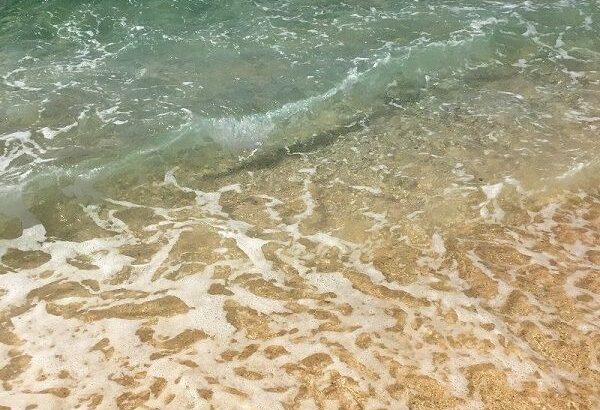 【沖縄】「外国人がおぼれている」人気の沖縄の海でまた水難　世界レベル大学院の学生死亡