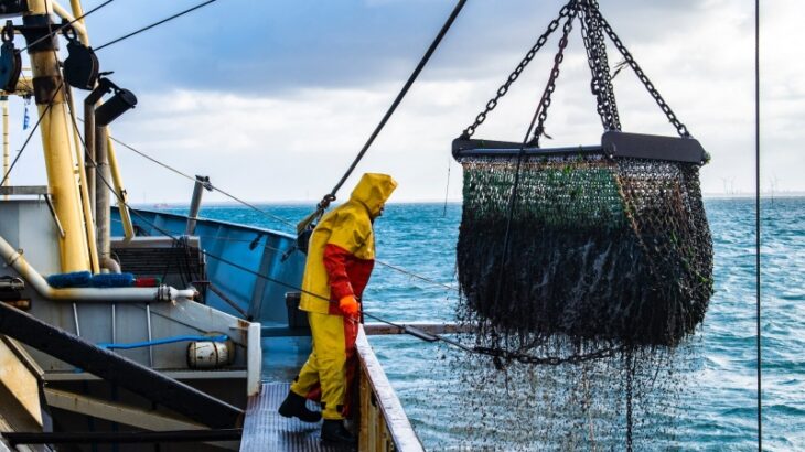 ｢魚が獲れない日本｣と「豊漁ノルウェー」の決定的な差がこちら