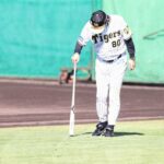 阪神・岡田監督さすがの“眼力”　伸びすぎ見抜いた外野の芝刈り指令「長いわ。歩くのも疲れる」