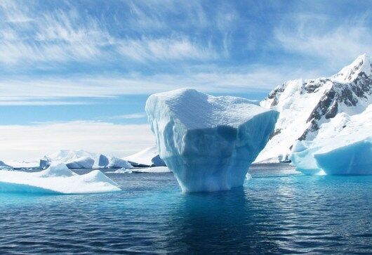 南極の氷の奥深くには大量の生命体。中には未知の生物も！