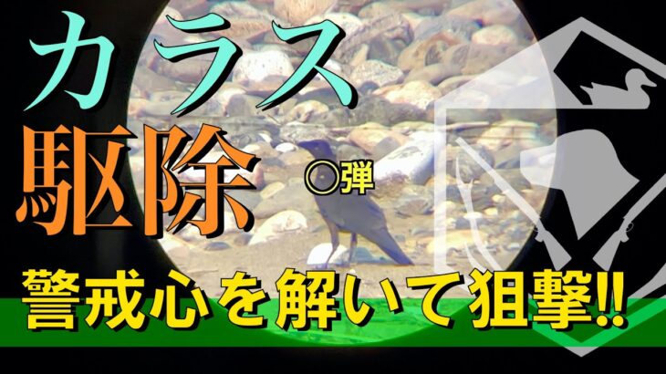 【社会】無許可で”空気銃誤射” 従業員に重傷を負わせた酪農業の男 初公判で「深く反省」…検察は懲役3年求刑