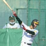 阪神・木浪“バット肩乗せ打法”挑戦中　正遊撃手獲りへ将の助言参考「最短で出せ力負けしない」