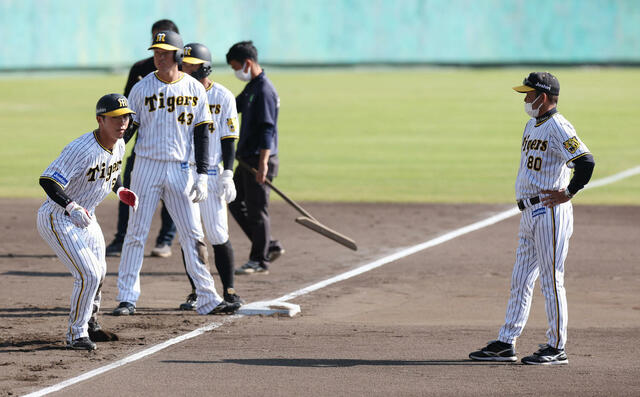 阪神　岡田彰布監督「早稲田戦法や」ギャンブルスタート練習敢行　最短距離での本塁突入指令