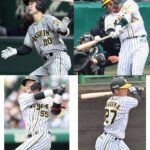 【悲報】阪神タイガースの現役ドラフト候補、山本泰寛、北條史也、陽川尚将、小野寺暖の4人に絞られる