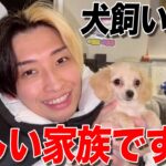 【YouTuber】ヒカル “犬を飼い始める”!?
