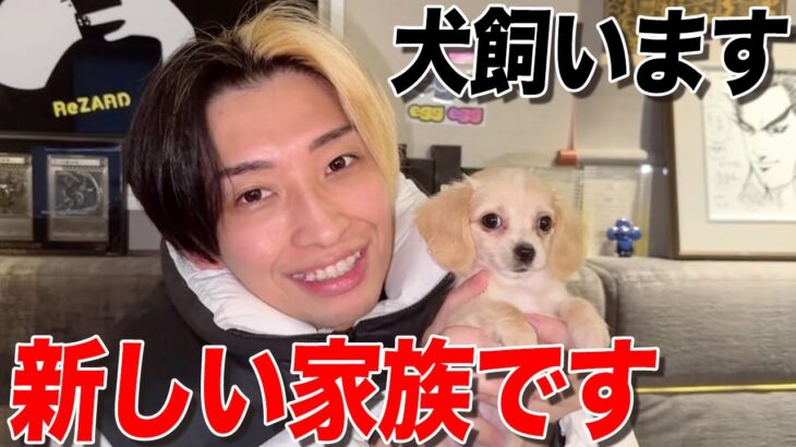【YouTuber】ヒカル “犬を飼い始める”!?