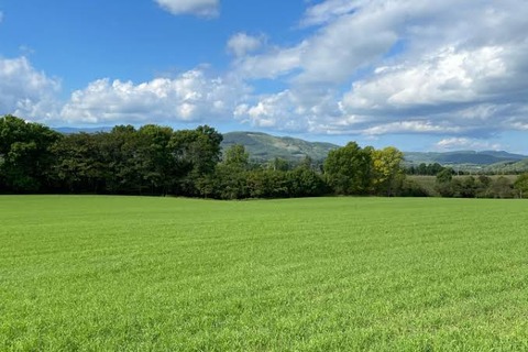 (ヽ´ん`)y─┛~~「モンティ・デッラ・ラガ の豊かな牧草地が心配だ」