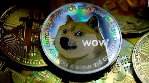 仮想通貨DOGEのモデルで世界一有名な柴犬「かぼす」、重病で危篤状態・・・