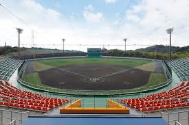 2024年春に静岡市にプロ野球の球団が誕生か…田辺市長「40代からの夢」　市民は「盛り上がるならいい」