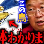 【衝撃】宮崎駿新作 鳥の正体・主演声優・ストーリー判明!