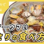 今日の『晩ごはん』は？