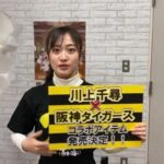 【朗報】川上千尋と阪神タイガースのコラボアイテム発売決定