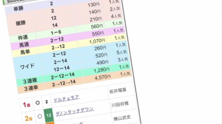 藤浪「はっきり言うて、これしかないやんか。おおん。」