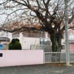 保育園の園児虐待　暴行容疑で元保育士３人を逮捕　静岡