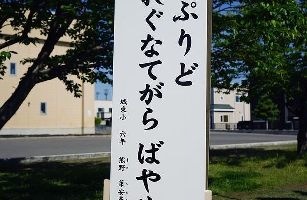 【画像】青森津軽弁キッズの交通安全標語、何て書いてるかわかるか？